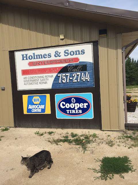 Holmes & Sons Enterprises